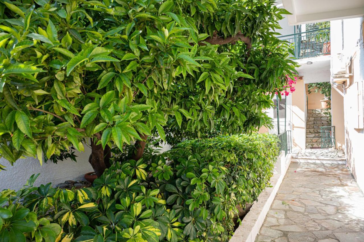 Villa Sofia Sea View Poros Town Екстериор снимка